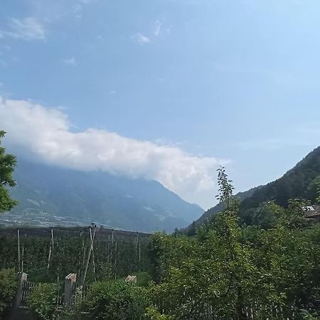 Apartment Ferdy Рабла Экстерьер фото