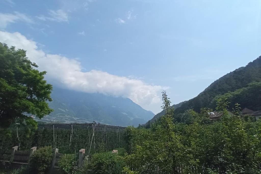 Apartment Ferdy Рабла Экстерьер фото